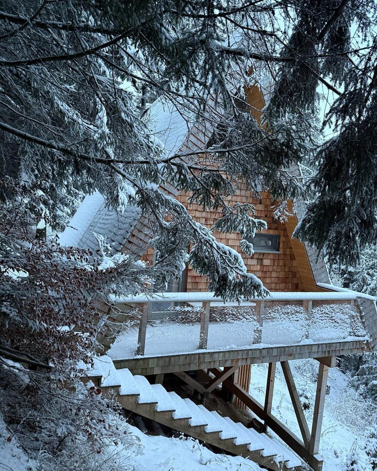 cazare brasov