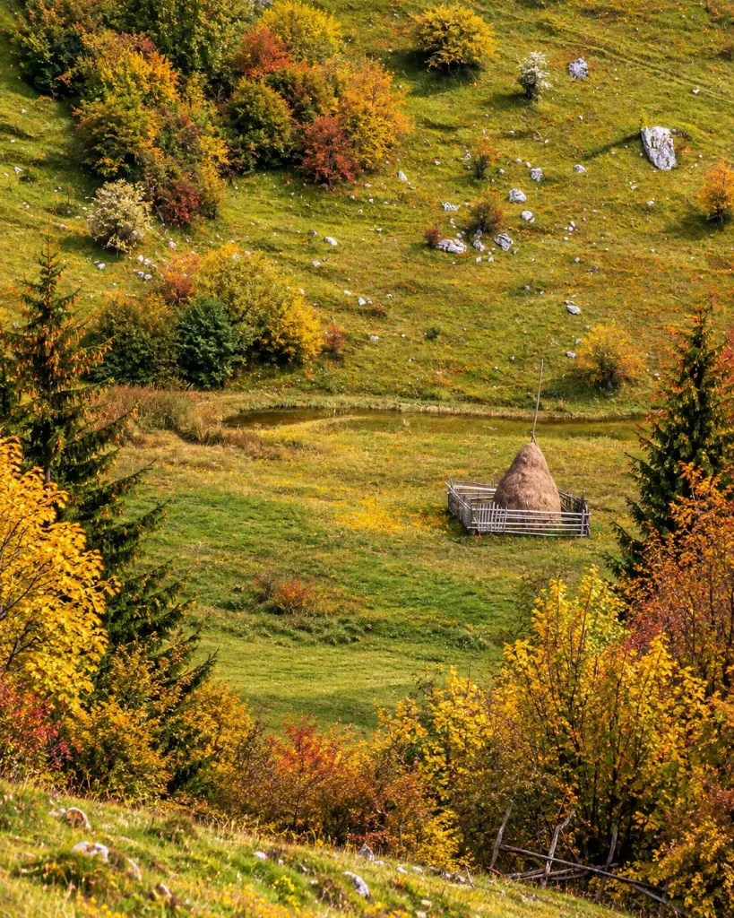 Fundătura Ponorului
