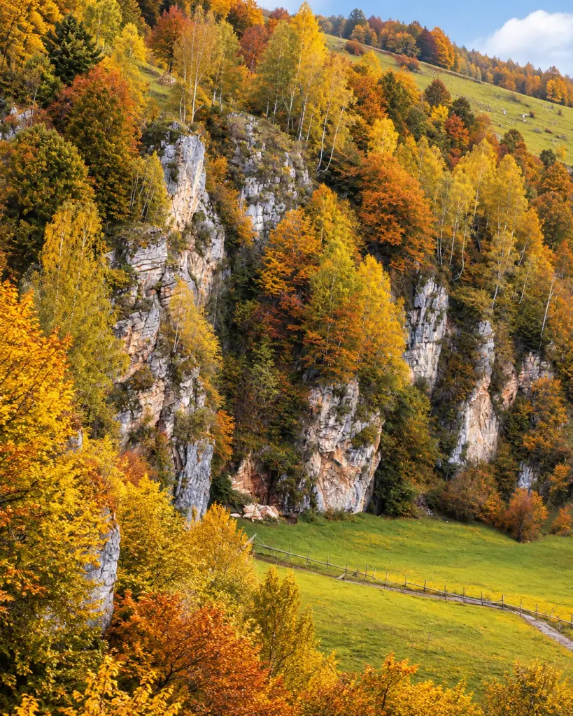 Fundătura Ponorului