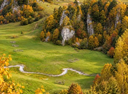 Fundătura Ponorului – pârâu care traversează pajiștea, cu versanți împăduriți în fundal