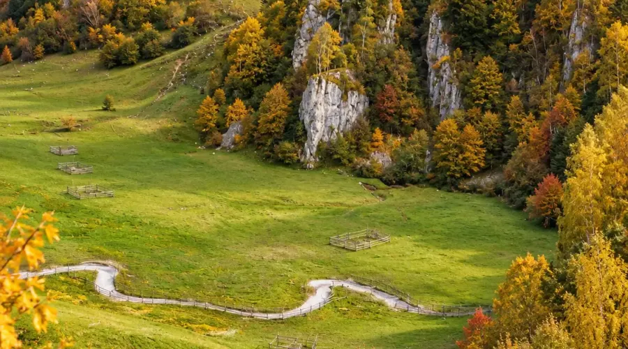 Fundătura Ponorului – pârâu care traversează pajiștea, cu versanți împăduriți în fundal