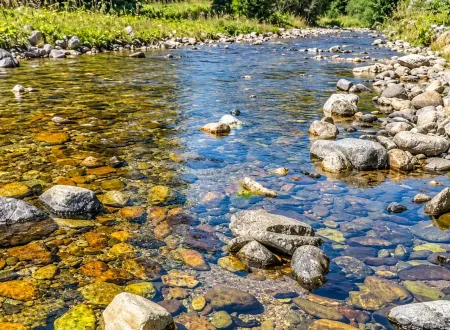 Cascada Vadu Crișului, cu apa căzând peste un perete de calcar din Defileul Crișului Repede