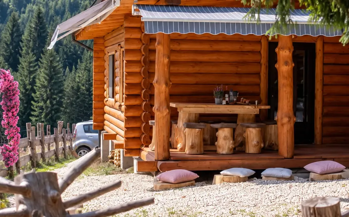 Cabana Paulownia Budești înconjurată de natură în Maramureș
