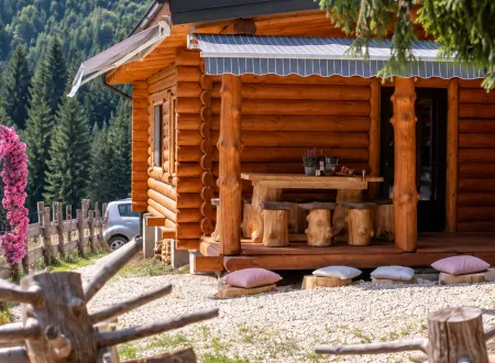 Cabana Paulownia Budești înconjurată de natură în Maramureș