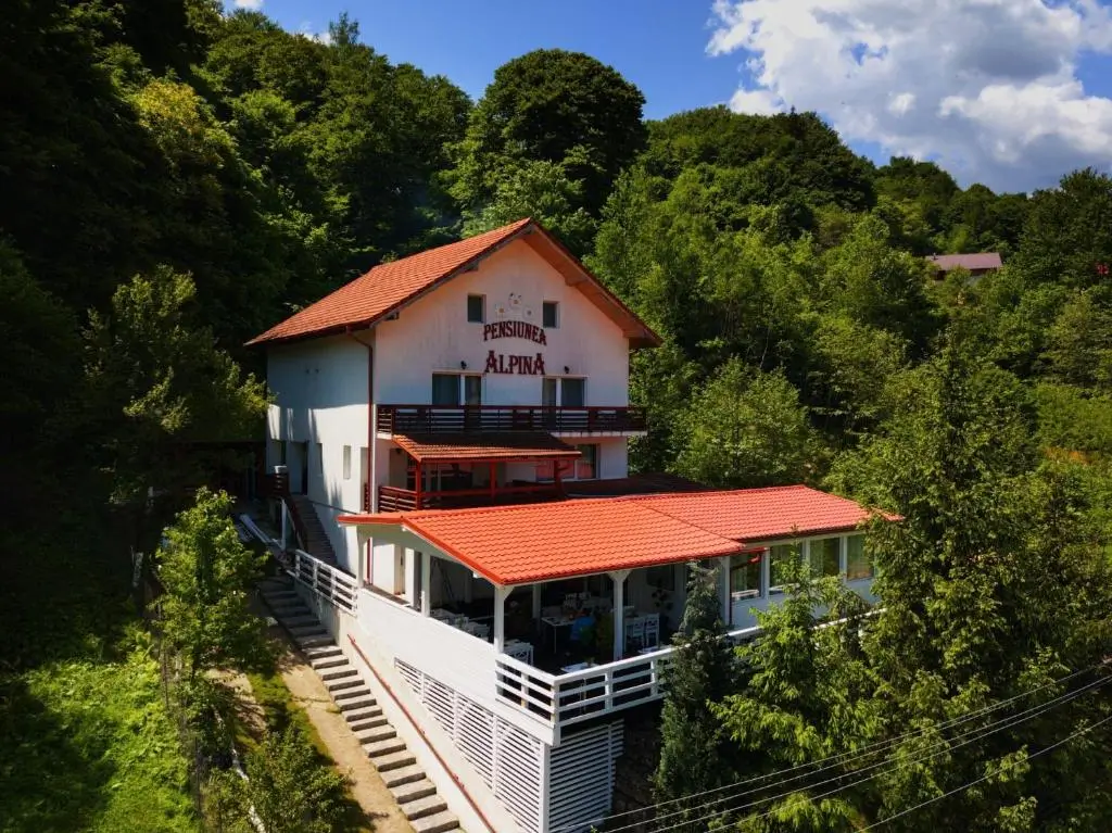 Pensiunea Alpina,poarta către "Tara Cascadelor" 2 477991222
