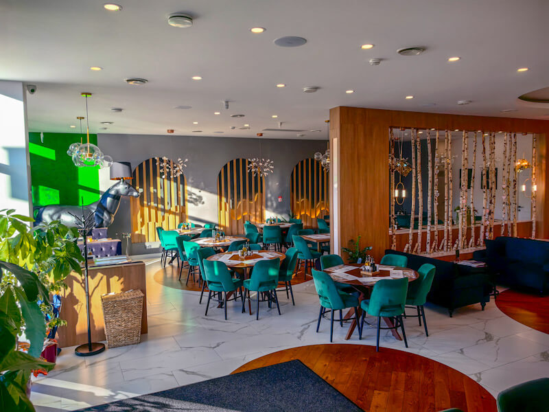 IMG 20241107 085145 edited