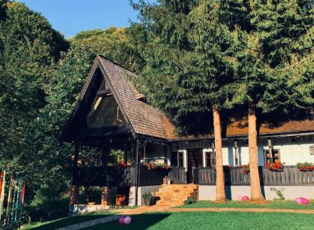 casuta cu 2 brazi
