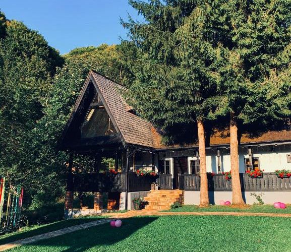 casuta cu 2 brazi