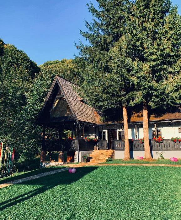 casuta cu 2 brazi