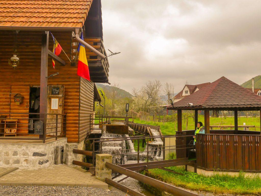 Descoperă bijuteriile ascunse ale Bologei: Cetatea ,moara de apă si muzeul 11 P1190155 edited