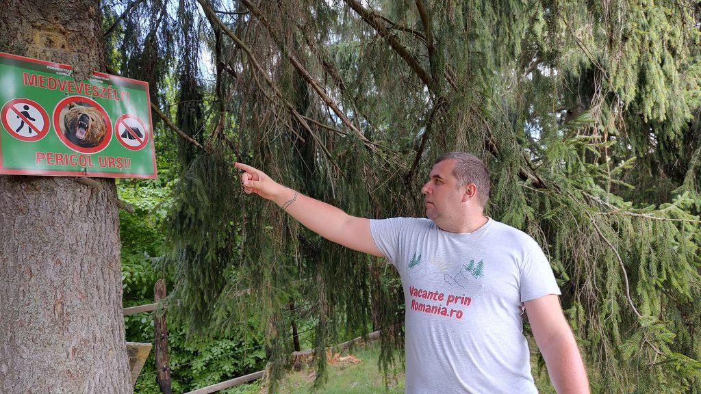 Descopera Tinovului de la Fântâna Brazilor 8 Tinovului de la Fântâna Brazilor