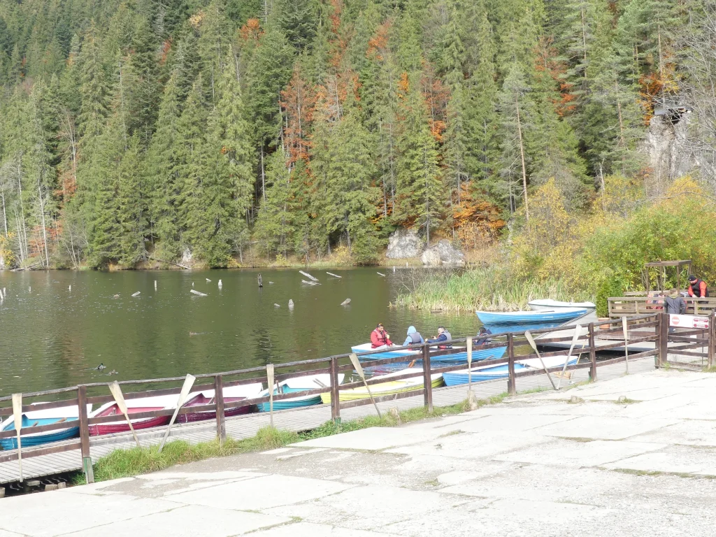 Lacul Roșu: 6 cazări deosebite pentru o vacanță în natură 2 Lacul Roșu văzut de pe mal, cu trunchiuri de copaci în apă și munți în fundal
