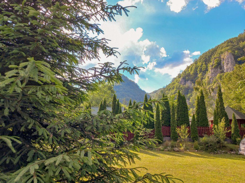 Casa Artemi isi rasfata turistii cu o priveliște minunată,în mijlocul naturii 4 Casa Artemi