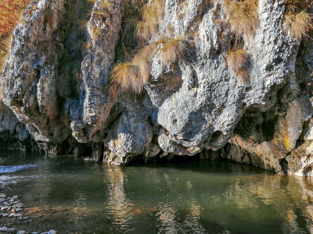 Casa Artemi isi rasfata turistii cu o priveliște minunată,în mijlocul naturii 7 Casa Artemi