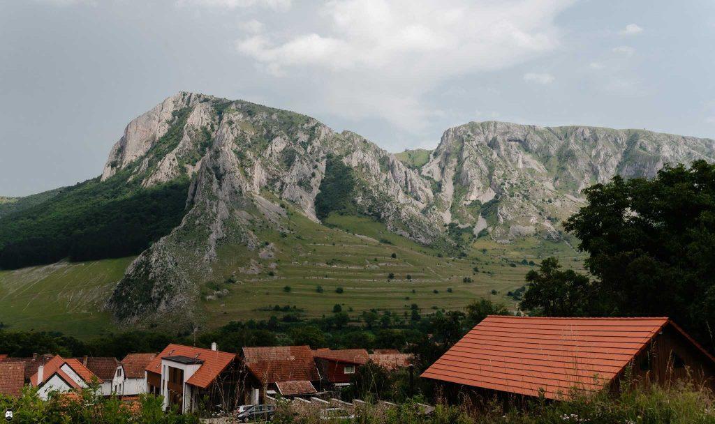 vedere panoramică