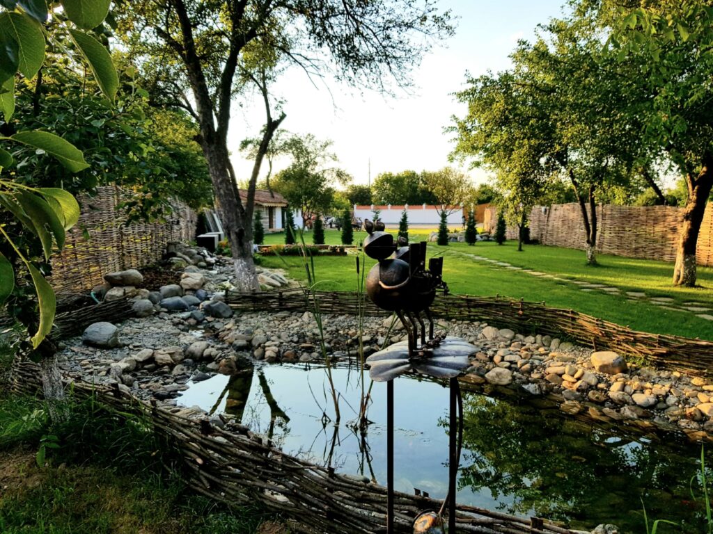 Joyard Pensiunea Parc - o destinatie de vacanta in romania 7 O destinatie de vacanta in romania