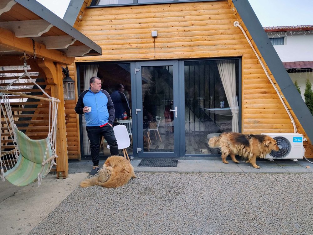 cabane care accepta si animale de companie