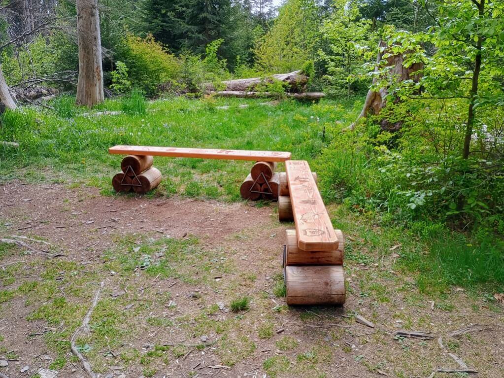 Explorând la pas Tinovul Mare 5 Tinovul Mare