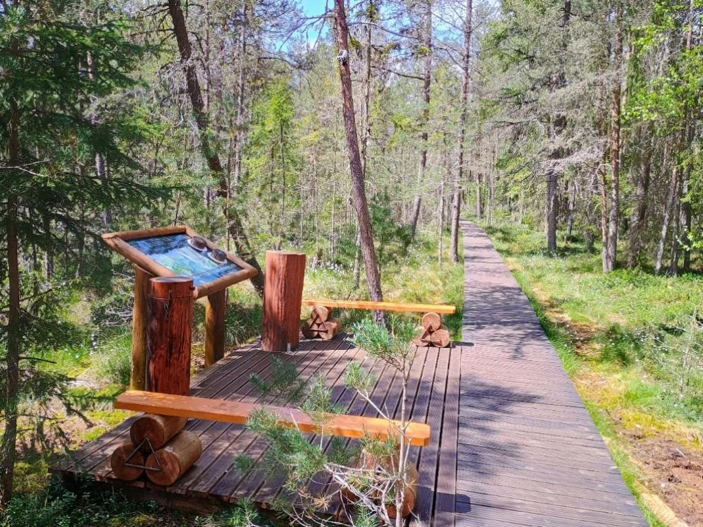 Explorând la pas Tinovul Mare 9 Tinovul Mare