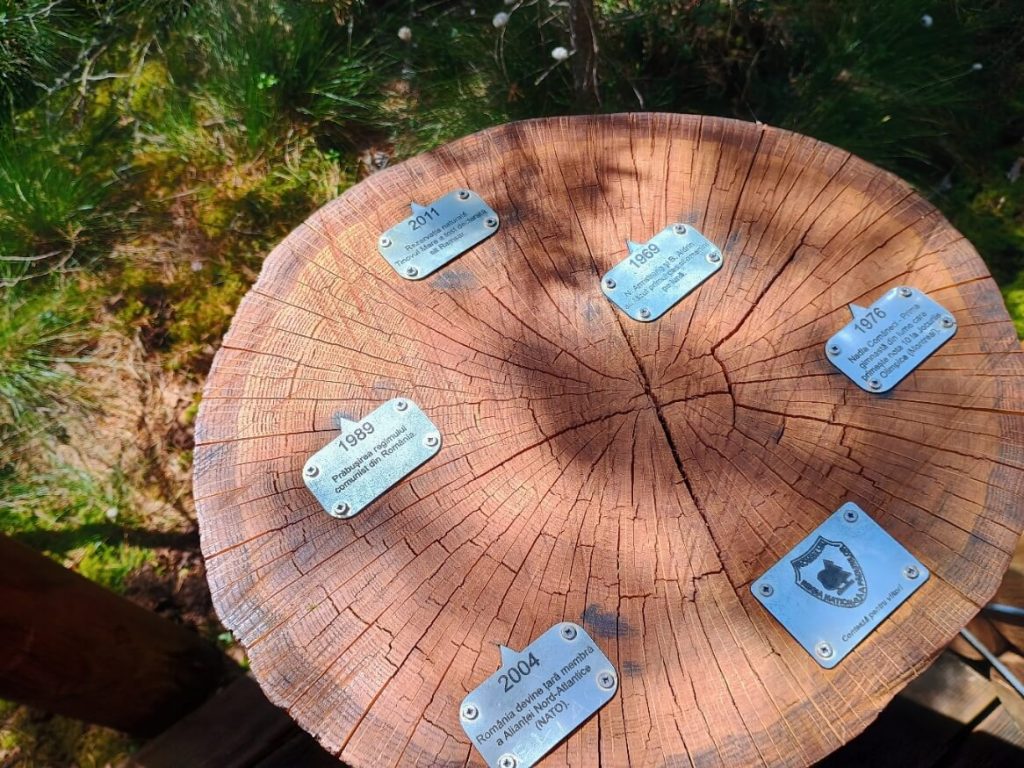 Explorând la pas Tinovul Mare 6 Tinovul Mare