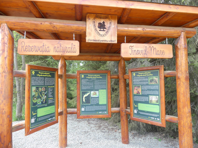 Explorând la pas Tinovul Mare 3 Tinovul Mare