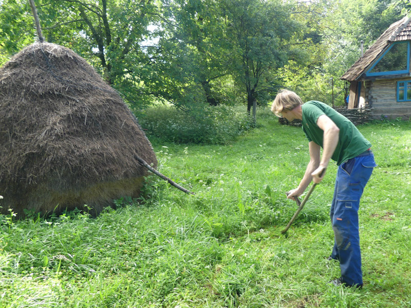 Dolina Village: Refugiul ideal pentru iubitorii de natură si traditie 2 Dolina Village