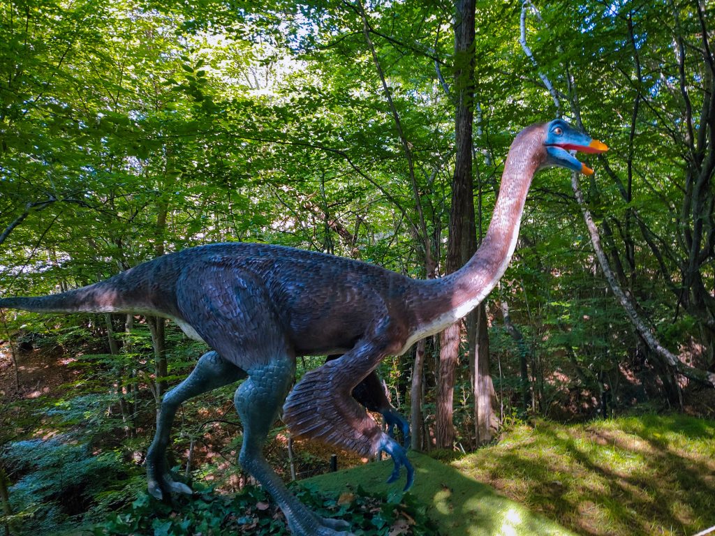 Dinozauri în mărime naturală,in parcul de aventura de la Wonderland 4 Dinozauri