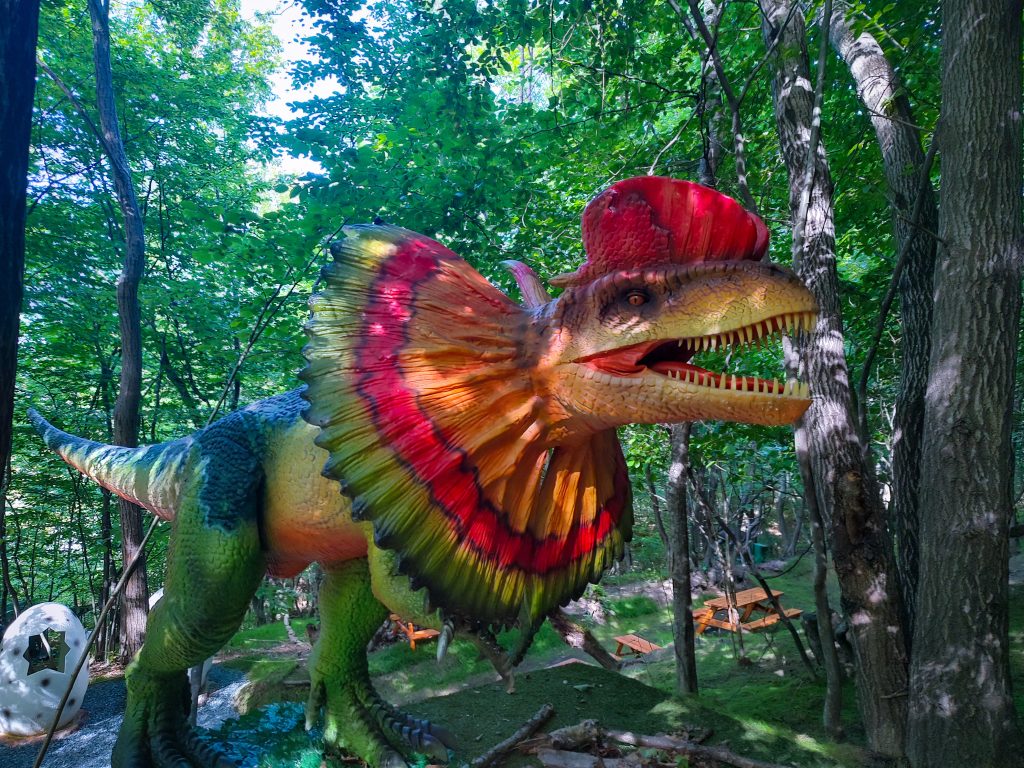 Dinozauri în mărime naturală,in parcul de aventura de la Wonderland 7 Dinozauri