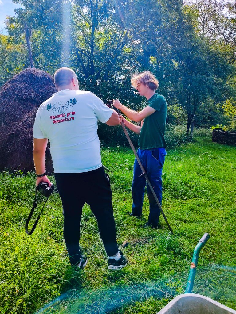 Dolina Village: Refugiul ideal pentru iubitorii de natură si traditie 3 Dolina Village