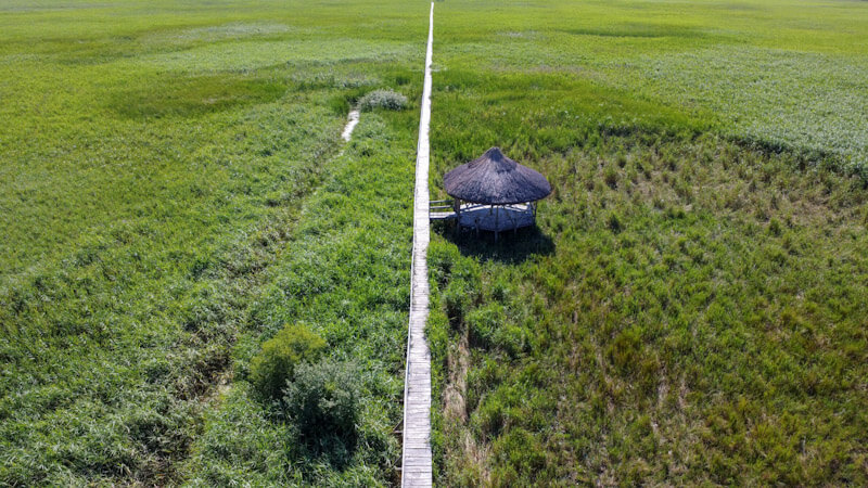 Stufărișurile de la Sic