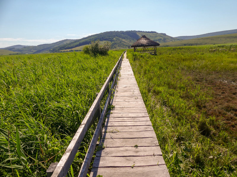 Stufărișurile de la Sic