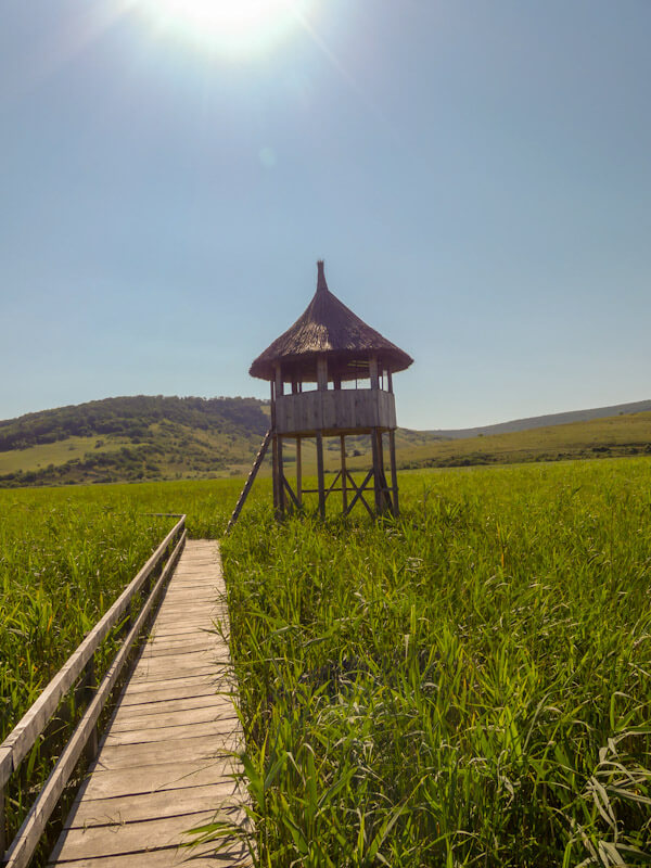 Stufărișurile de la Sic