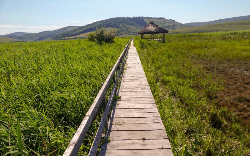 Stufărișurile de la Sic