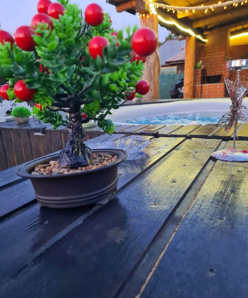Cabana Din Vârf