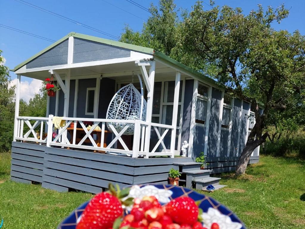 Cabană la munte de închiriat: 10 cabane deosebite din România 11 ee